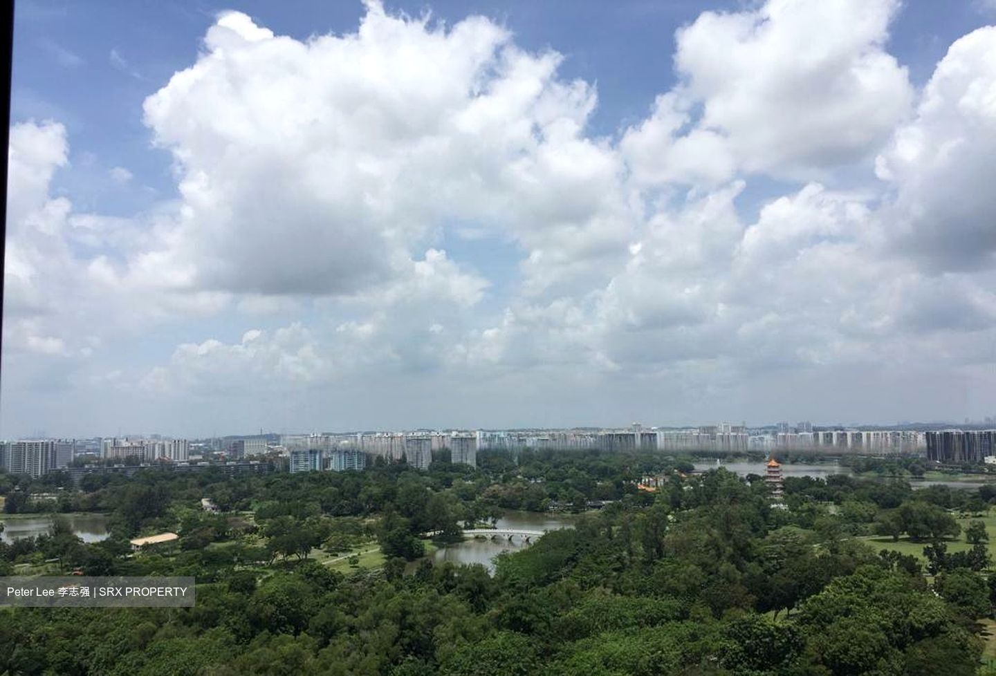 Ivory Heights (D22), Condominium #461533491